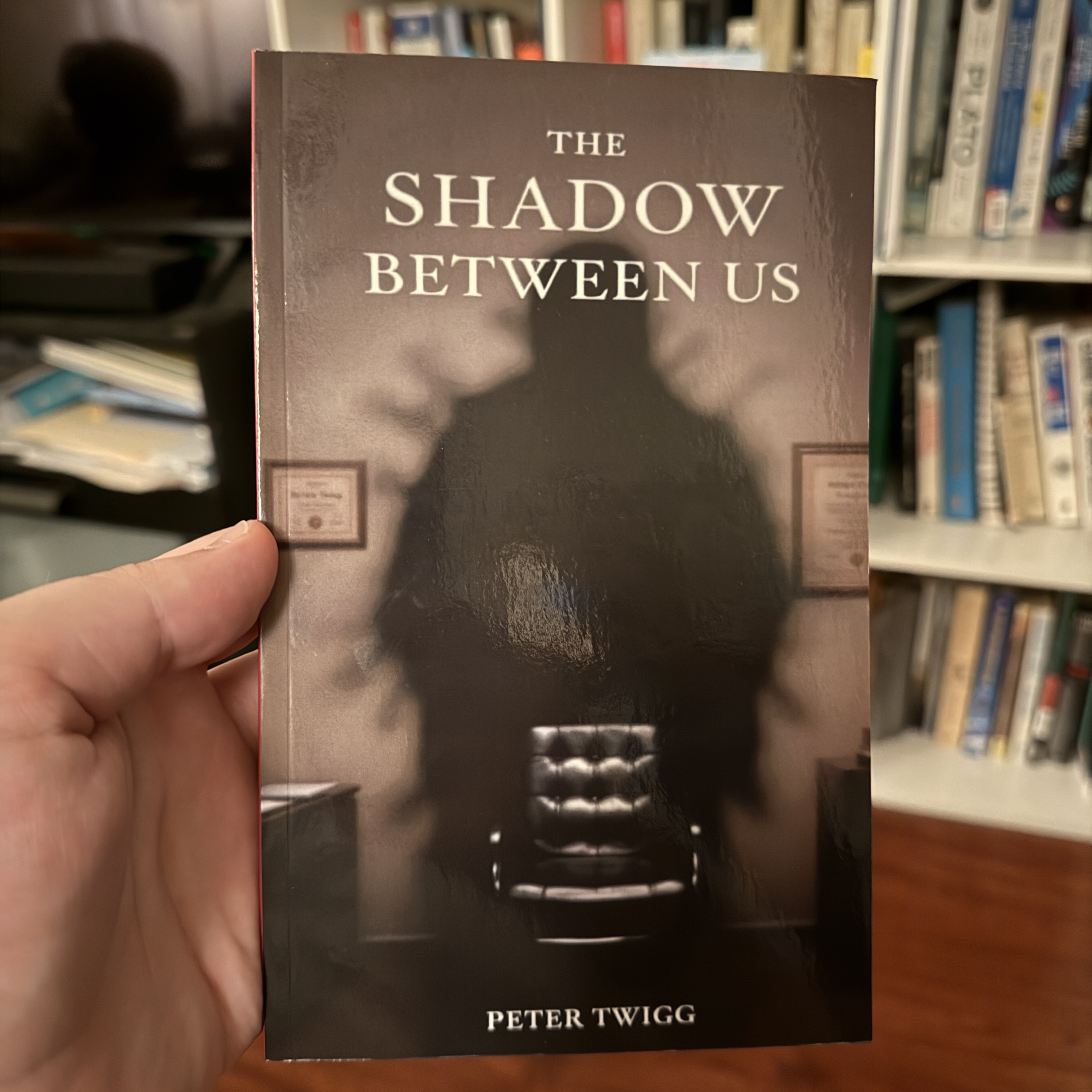 Displaying The Shadow Between Us